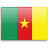 country flag of Cameroon