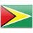 country flag of Guyana