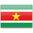 country flag of Suriname