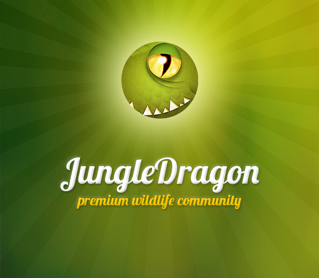 (c) Jungledragon.com